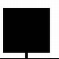 LEI-HAAGBEUK (laagstam leibomen scherm)  omtrek 12-14cm